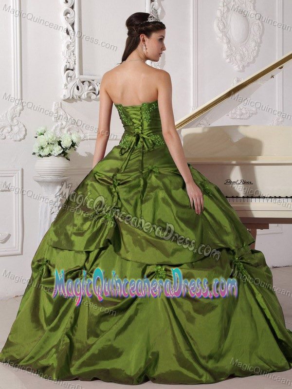 Olive Green Sweetheart Taffeta with Appliqued Quinceanera Dress in Royal Oak