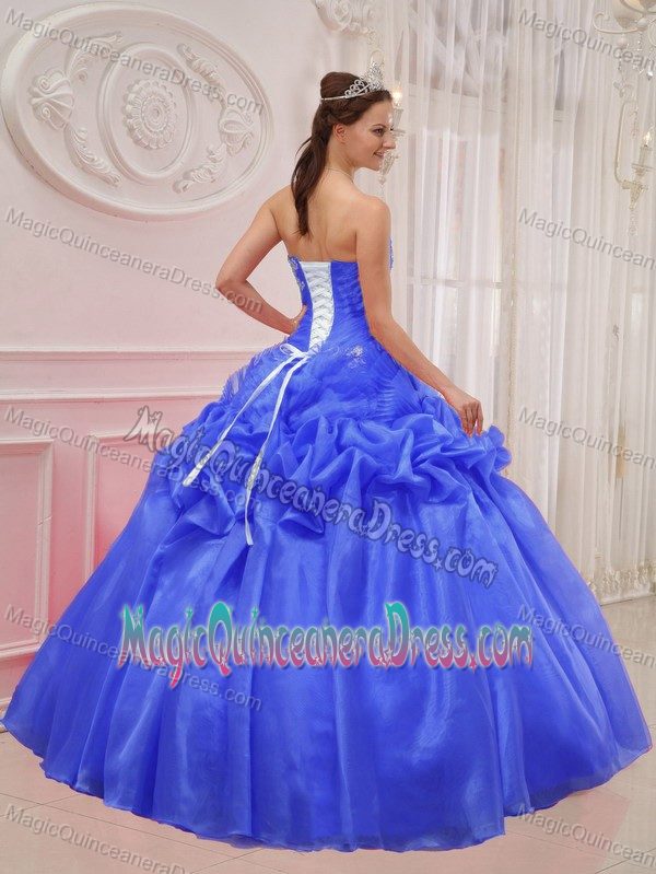 Blue Ball Gown Strapless Floor-length Appliques Dress for Quince