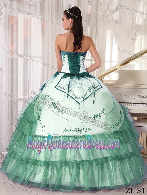 Green Bustline Embroidery Dress for Quince in Blaubeuren Germany