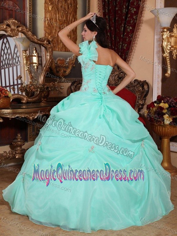One Shoulder Apple Green Appliques Quinceanera Dress in Wootton