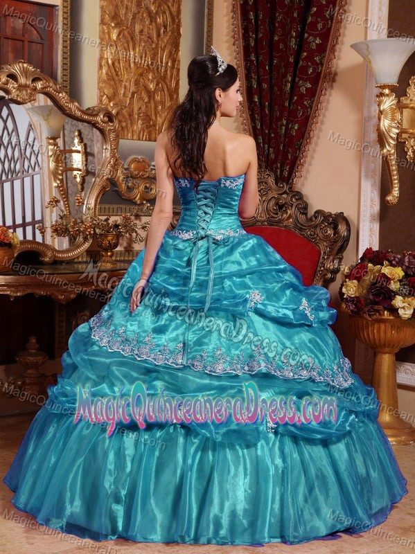 Appliques Accent for Teal Organza 2013 Sweet 15 Dresses in Childersburg