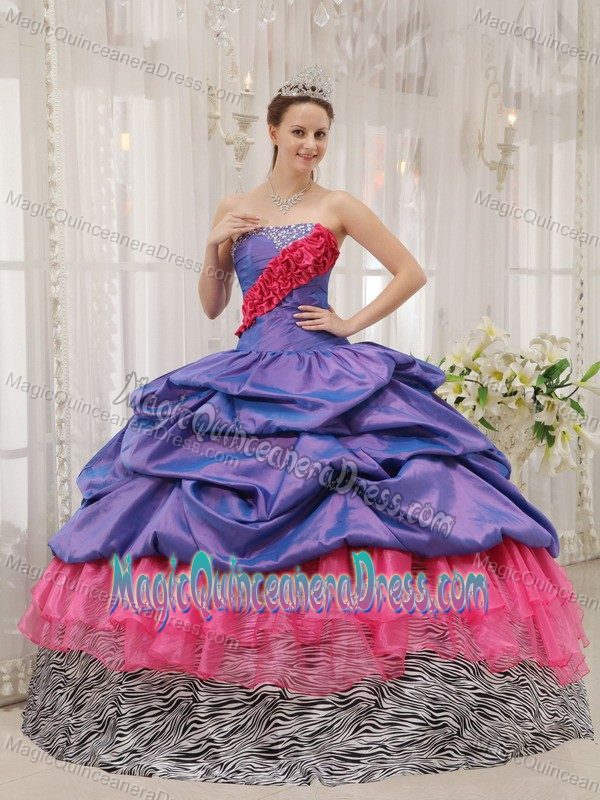 Pick-ups and Ruffles Accent Quinceanera Dresses in Atmore Zebra Style