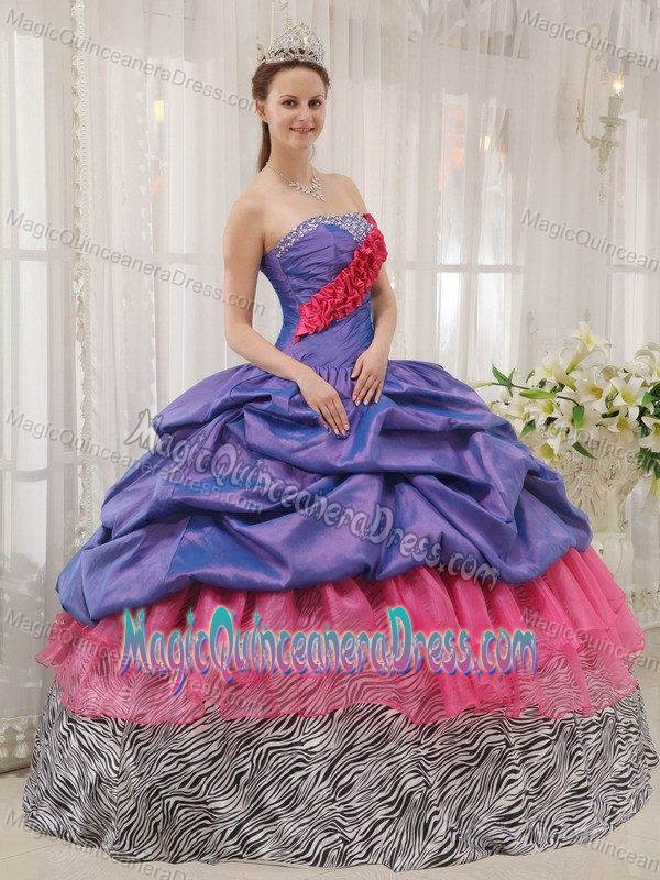 Pick-ups and Ruffles Accent Quinceanera Dresses in Atmore Zebra Style