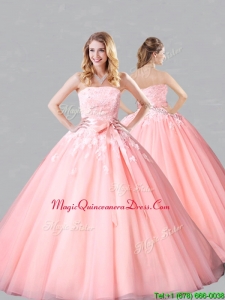 Classical Court Train Belted and Applique Sweet 16 Dress in Baby Pink