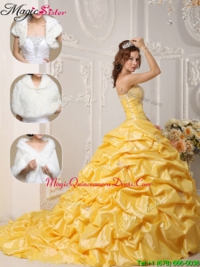 Classical Court Train Quinceanera Gowns with Pick Ups and Appliques