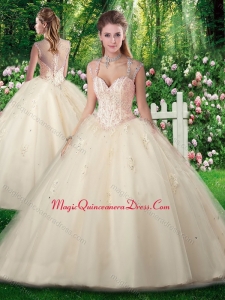 Discount A Line Champange Quinceanera Dresses with Beading and Appliques