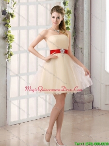 Affordable A Line Belt Strapless Dama Dresses with Mini Length