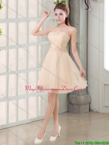 New Arrival Champagne A Line Strapless Appliques Dama Dresses