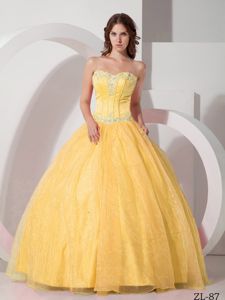 Exquisite Appliqued Gold Ball Gown Floor-length Quince Dress Free Shipping