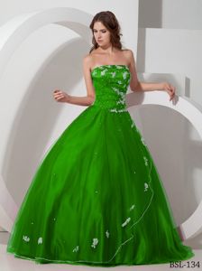 Well-Packaged Strapless Appliqued Beaded Quinceanera Gown in Green