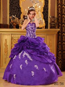 Purple Strapless Floor-length Quinceanera Gown with Appliques and Pick-ups in Dilley