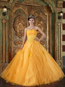 Hot Sweetheart Floor-length Organza Quinceanera Gowns in Orange with Appliques