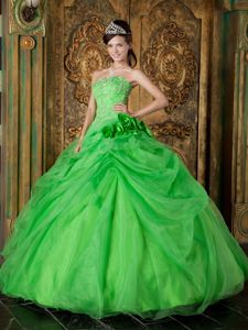 Strapless Princess Green Sweet Sixteen Quinceanera Dress with Flower and Pick-ups