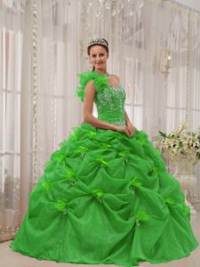 One Shoulder Floor-length Quince Dresses in Green with Appliques and Pick-ups
