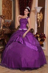 Purple One Shoulder Floor-length Quinceanera Gown Dress with Flower in Chester