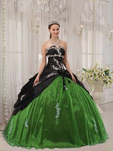 Appliqued Black and Green Sweet Sixteen Dress with Lace Up Back in Bell Canyon