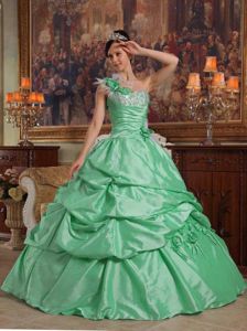 Apple Green One Shoulder Princess Sweet Sixteen Dresses with Pick-ups in Adelanto