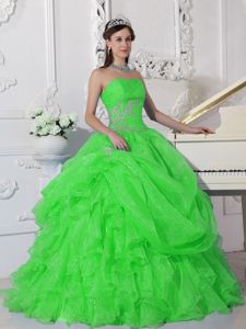 Strapless Princess Dress for Quinceanera in Spring Green with Appliques in Decatur