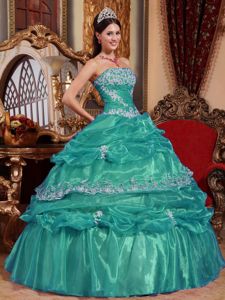 Strapless Floor-length Organza Turquoise Quince Dress with Appliques in Clemson