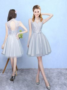 Beauteous Silver Sleeveless Lace Knee Length Dama Dress