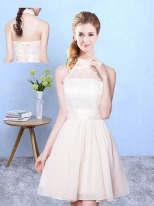 Elegant Sleeveless Lace Lace Up Court Dresses for Sweet 16