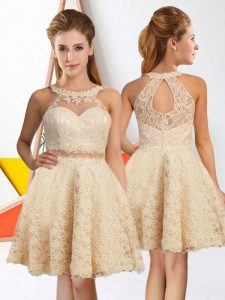 Eye-catching Champagne Lace Zipper Dama Dress for Quinceanera Sleeveless Knee Length Lace