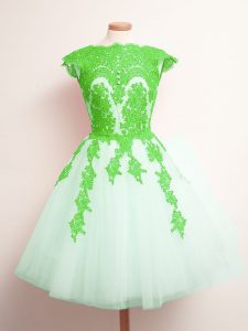 Shining Multi-color A-line Scalloped Sleeveless Tulle Mini Length Lace Up Appliques Dama Dress for Quinceanera