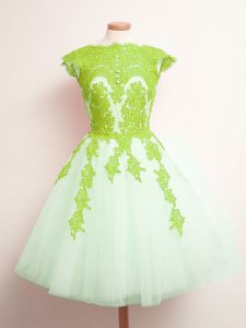 Tulle Lace Up Scalloped Sleeveless Mini Length Dama Dress for Quinceanera Appliques