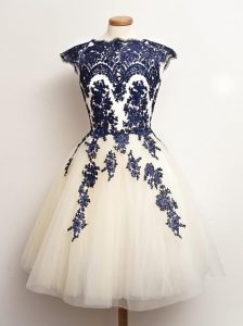 Fantastic Blue And White Lace Up Dama Dress Appliques Sleeveless Mini Length