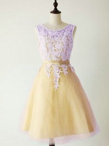 Gold Tulle Lace Up Quinceanera Dama Dress Sleeveless Knee Length Lace