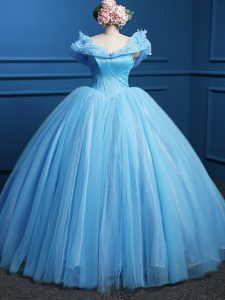 Floor Length Baby Blue Sweet 16 Quinceanera Dress Tulle Sleeveless Appliques