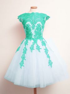 Adorable Multi-color Lace Up Scalloped Appliques Dama Dress Tulle Sleeveless