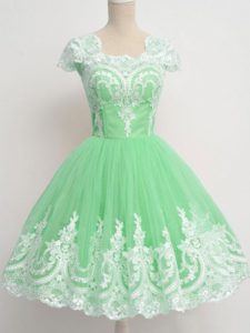 Apple Green Quinceanera Dama Dress Prom and Party and Wedding Party with Lace Square Cap Sleeves Zipper