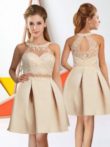 New Style Champagne Halter Top Neckline Lace Quinceanera Court Dresses Sleeveless Zipper