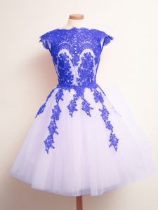 Ideal Blue And White A-line Appliques Dama Dress for Quinceanera Lace Up Tulle Sleeveless Mini Length