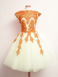 Sleeveless Tulle Mini Length Lace Up Dama Dress in Multi-color with Appliques