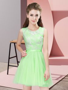 Ideal Tulle Side Zipper Damas Dress Sleeveless Mini Length Lace