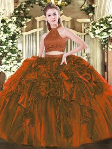 Ball Gowns Ball Gown Prom Dress Brown Halter Top Organza Sleeveless Floor Length Backless