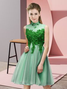 Apple Green Lace Up High-neck Appliques Quinceanera Dama Dress Tulle Sleeveless