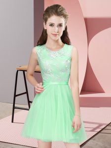 Fashion Tulle Sleeveless Mini Length Quinceanera Dama Dress and Lace