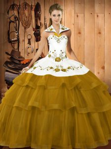 Brown Sleeveless Satin and Organza Brush Train Lace Up Quinceanera Gowns for Sweet 16 and Quinceanera