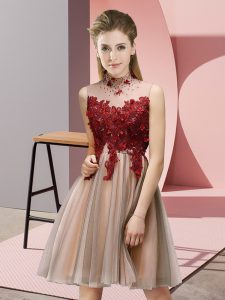 Knee Length Pink Court Dresses for Sweet 16 High-neck Sleeveless Lace Up