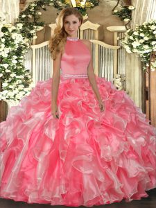 Romantic Hot Pink Sleeveless Organza Backless Quince Ball Gowns for Military Ball and Sweet 16 and Quinceanera