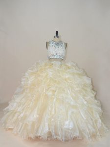 Beading and Lace 15 Quinceanera Dress Champagne Zipper Sleeveless Brush Train