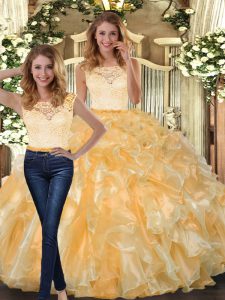 Sophisticated Organza Sleeveless Floor Length Sweet 16 Dress and Lace and Ruffles
