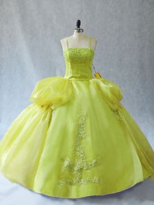 Straps Sleeveless Quinceanera Dress Floor Length Appliques Yellow Green Organza
