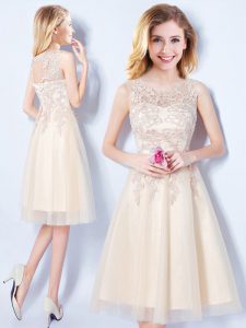 Scoop Champagne Tulle Lace Up Court Dresses for Sweet 16 Sleeveless Knee Length Appliques