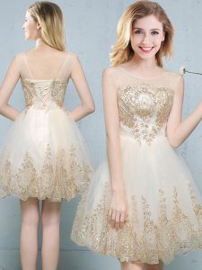 Champagne Quinceanera Dama Dress Prom and Party and Wedding Party and For with Appliques Scoop Sleeveless Lace Up