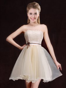 Suitable Sleeveless Mini Length Lace Lace Up Court Dresses for Sweet 16 with Champagne