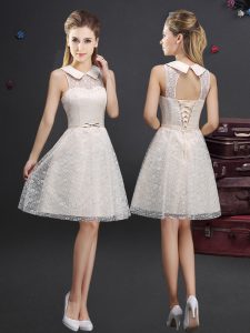 Flare Sleeveless Lace and Appliques Lace Up Dama Dress for Quinceanera